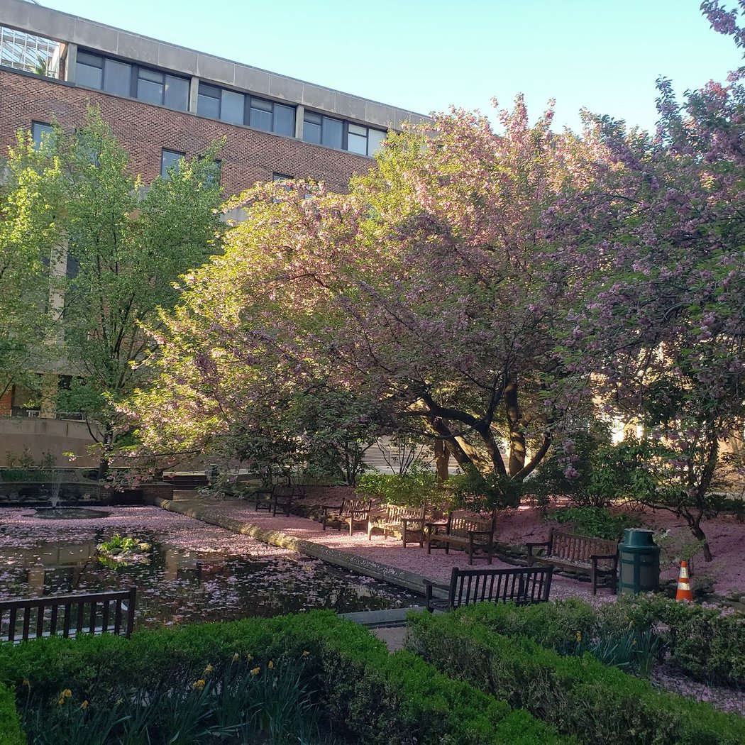 Brooklyn College Office of Undergraduate Admissions 2