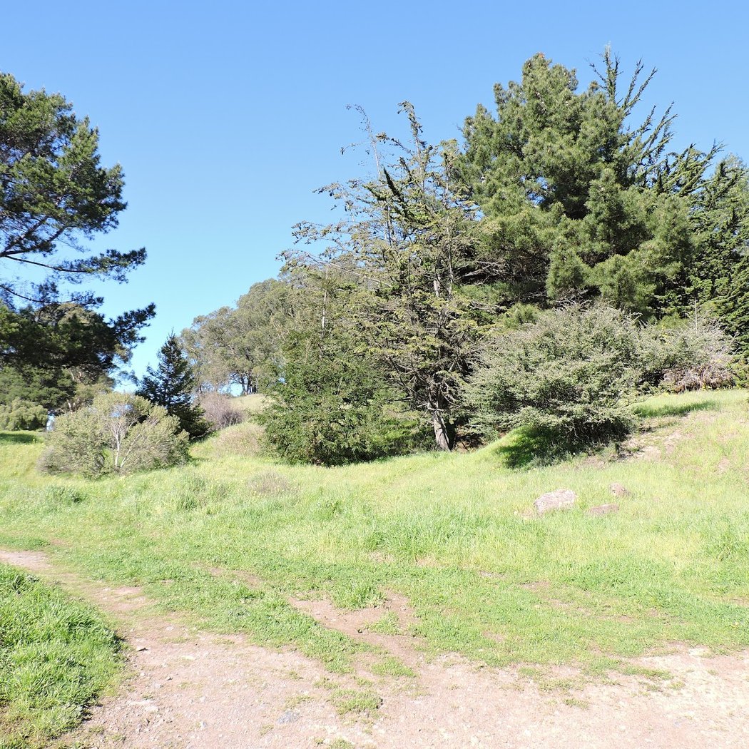 Hillside Natural Area 4