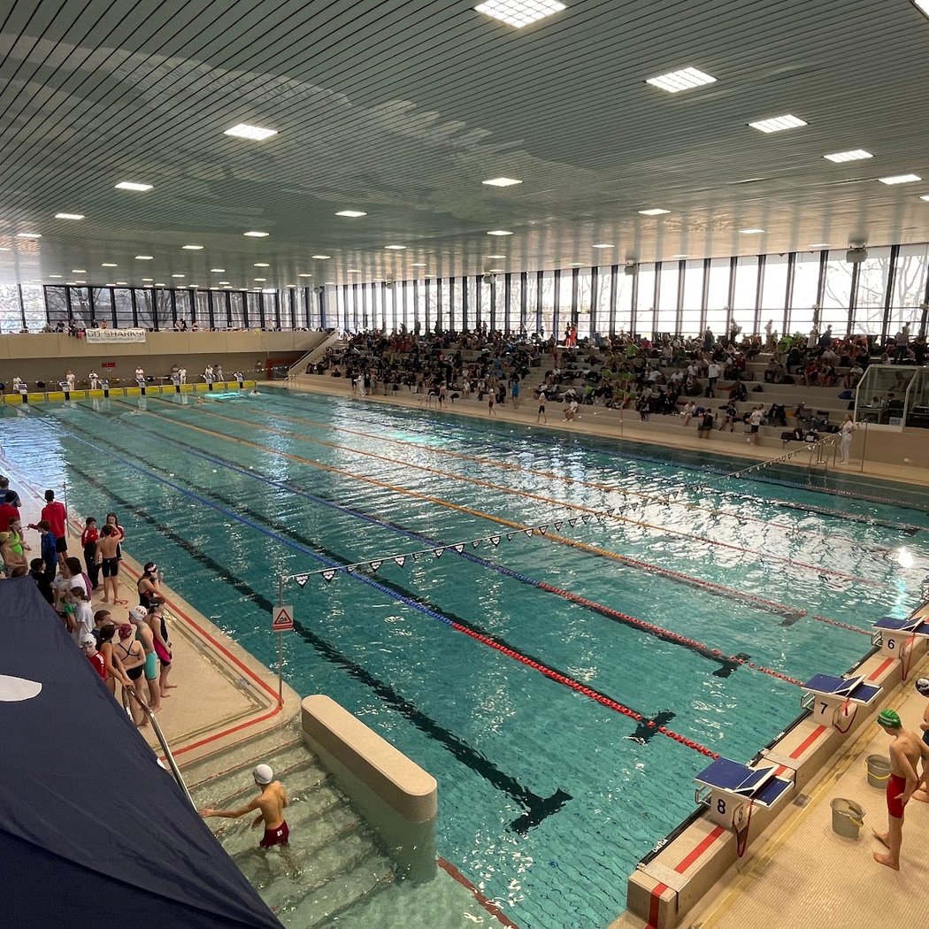 Public Pool Oerlikon