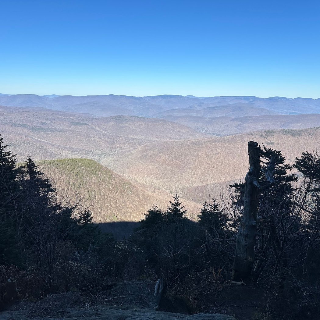 Catskill Forest Preserve 1