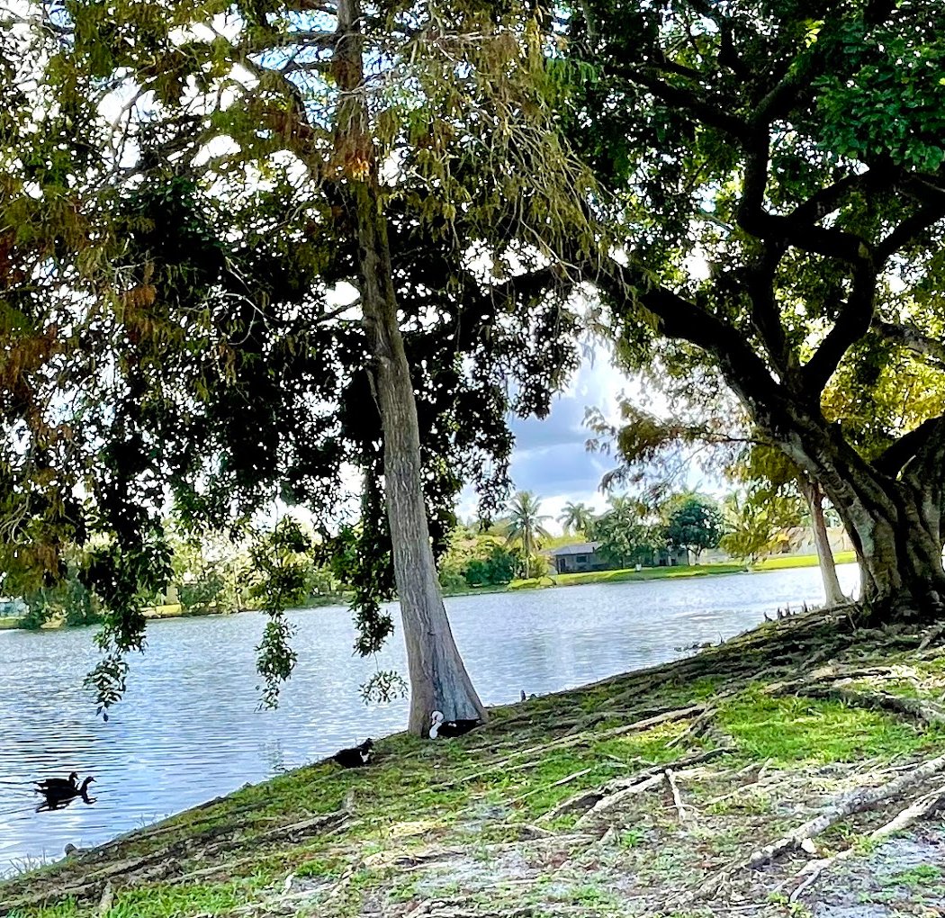 Westwind Park 3