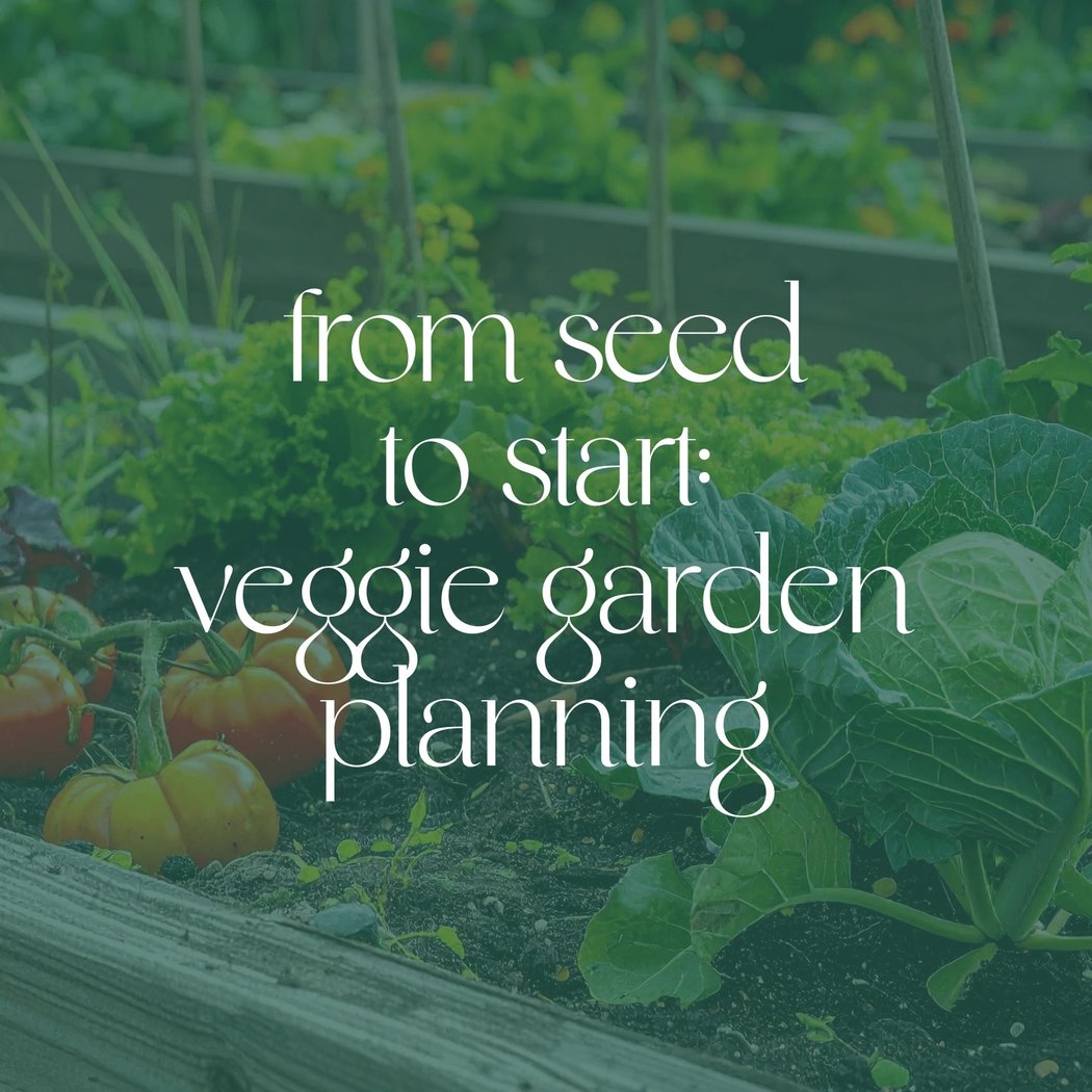Seed to Start: Veggie Garden Planning 1