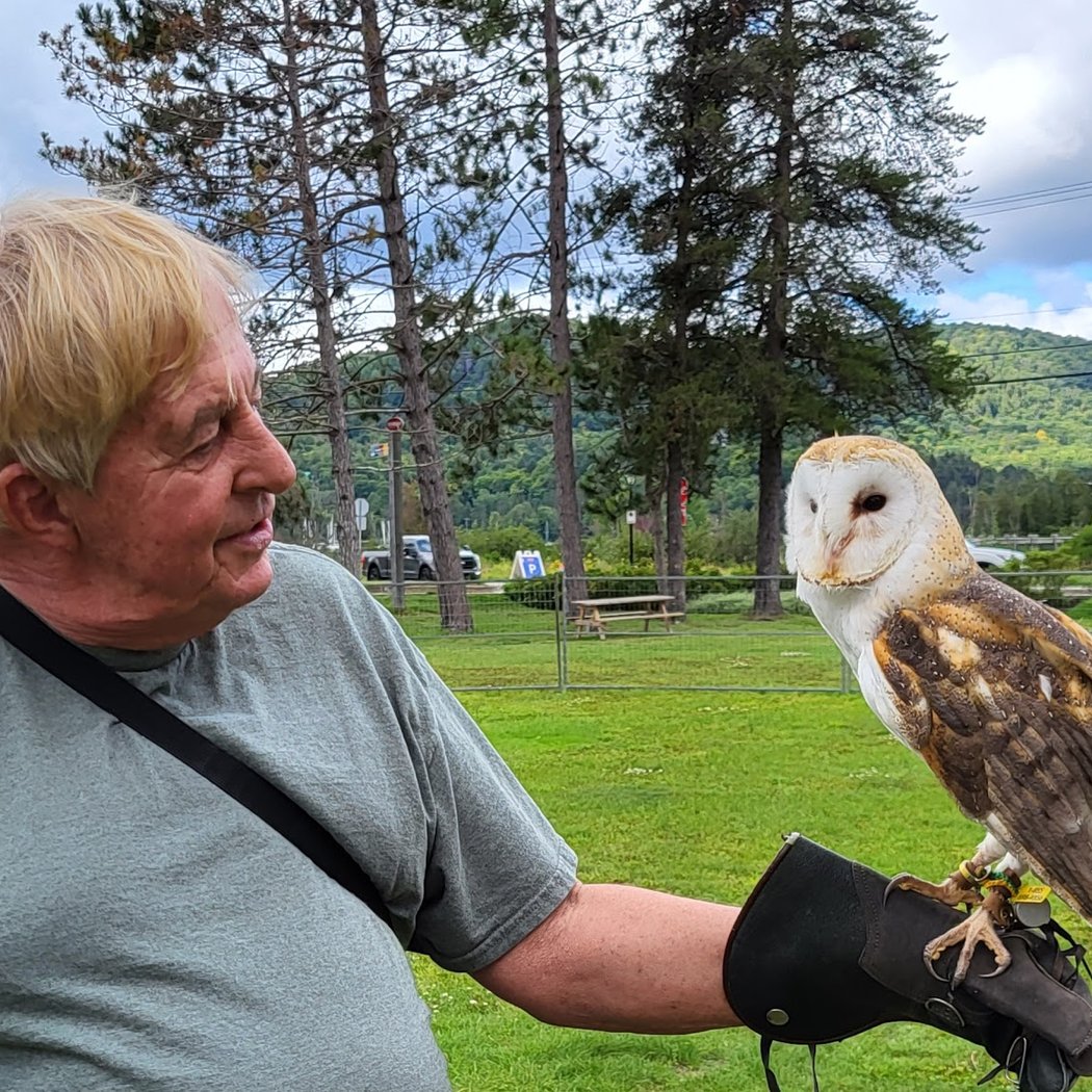 Birds Of Prey 3