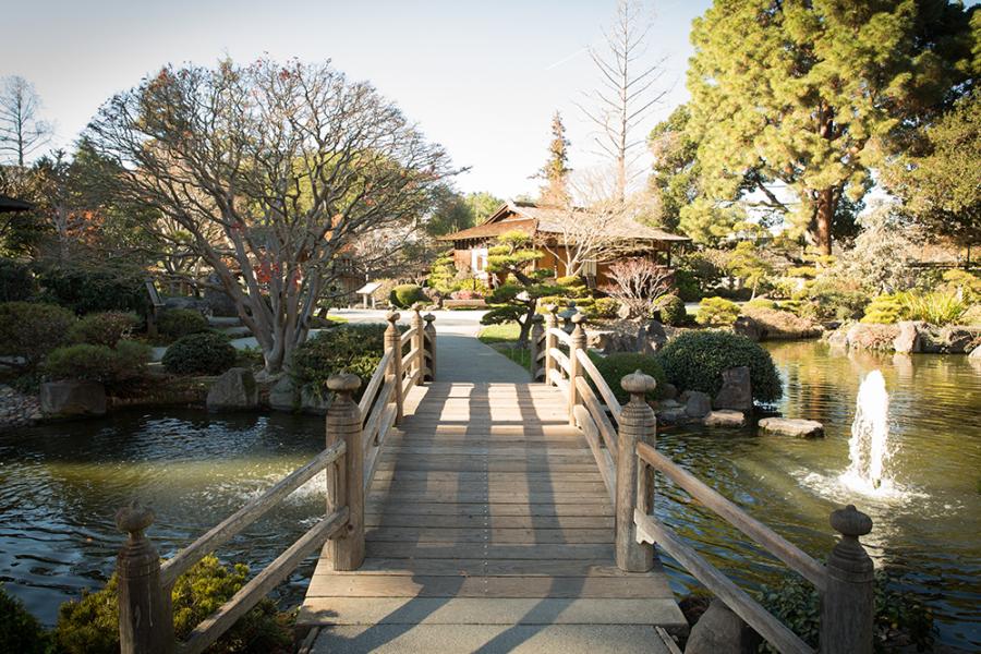 San Mateo Japanese Garden 1