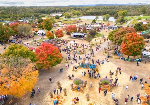 Alexander Fall Fest 2