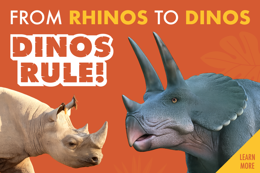 Dinos Rule!