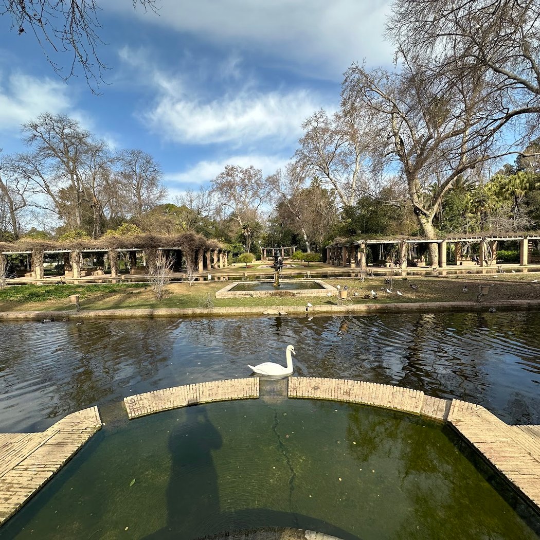 Estanque de los Lotos 2