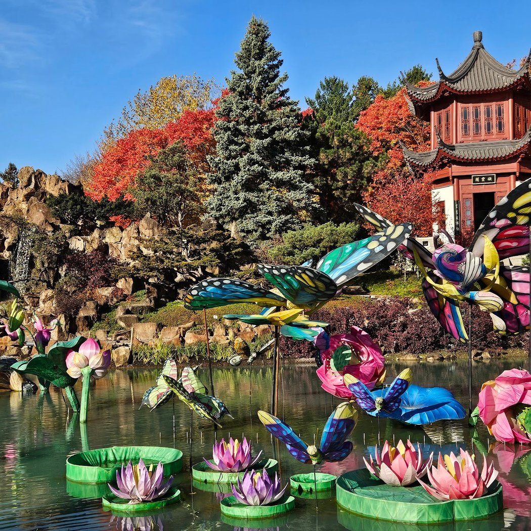 Chinese Garden 1