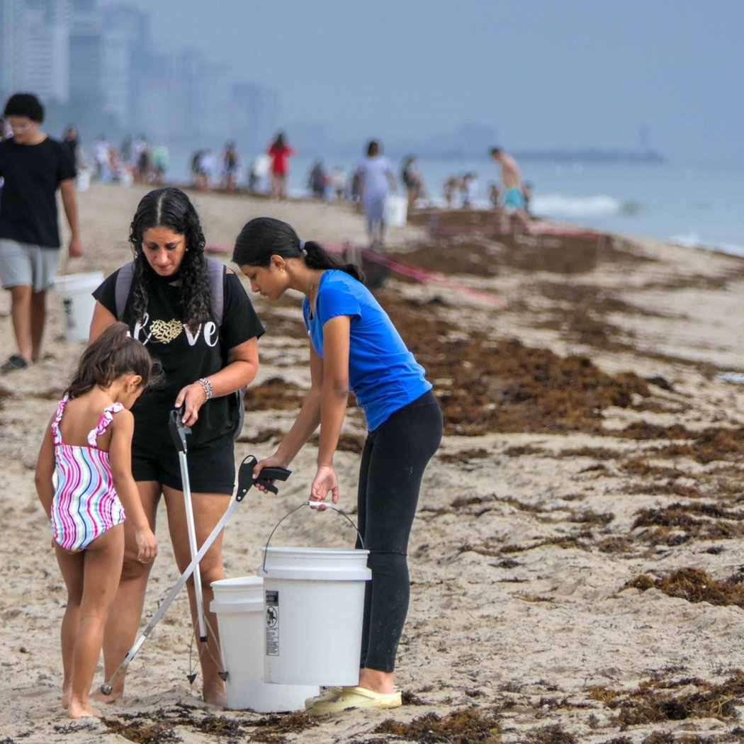 The Monthly Fort Lauderdale Beach Sweep 2