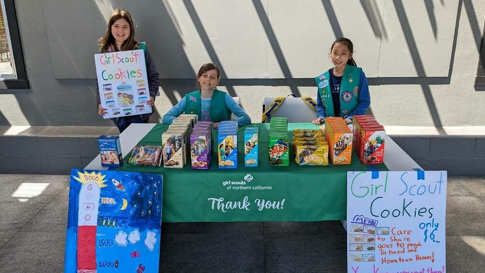 Girl Scouts Cookie Sales 1