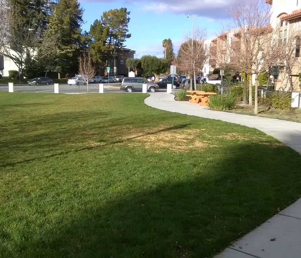St. Elizabeth Park 2