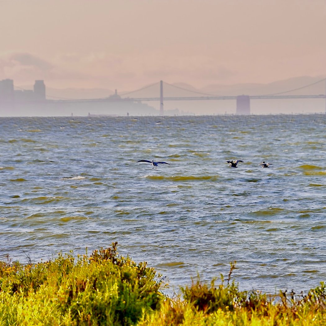 Sea View Pkwy, SF Bay Trail Access 3
