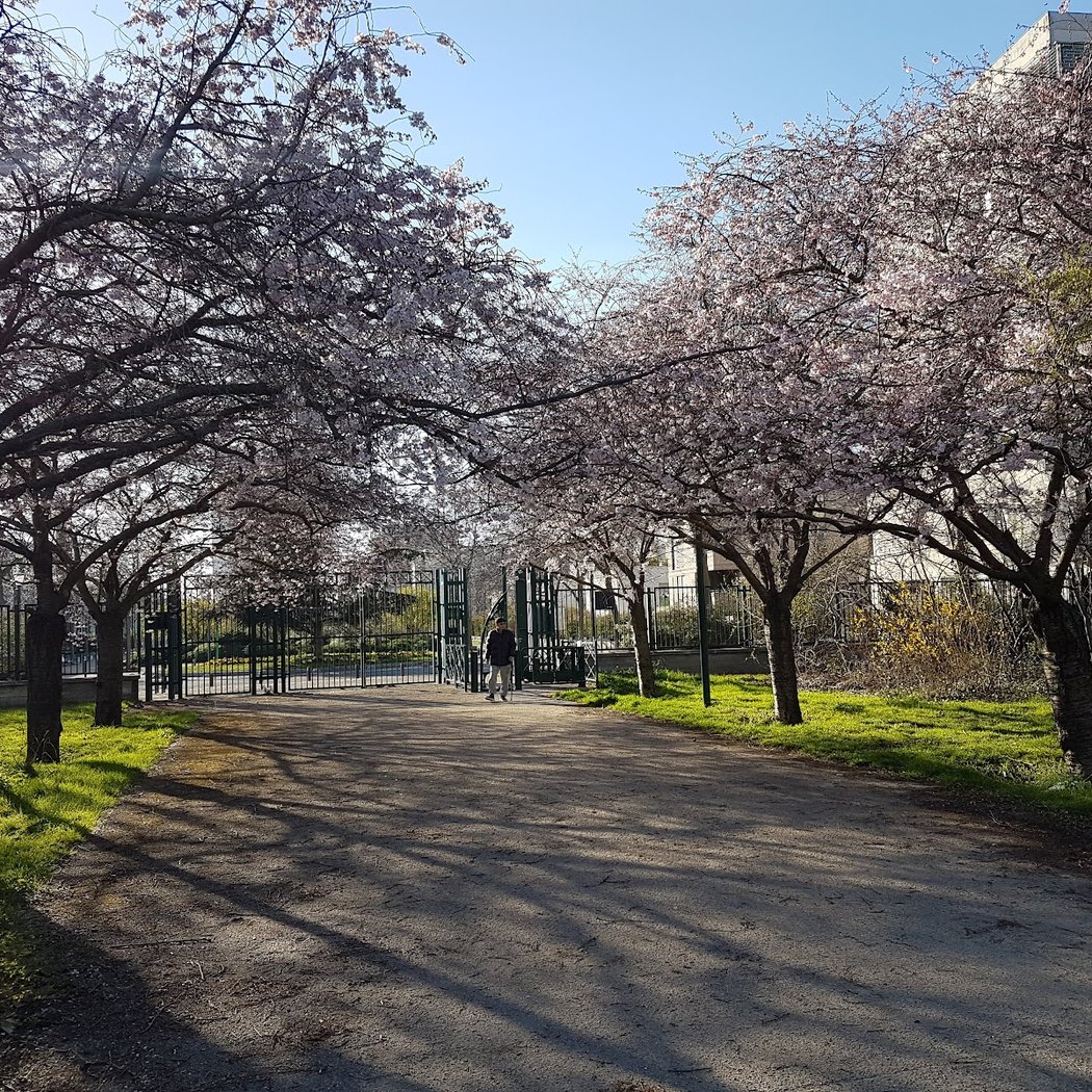Sports Park 3