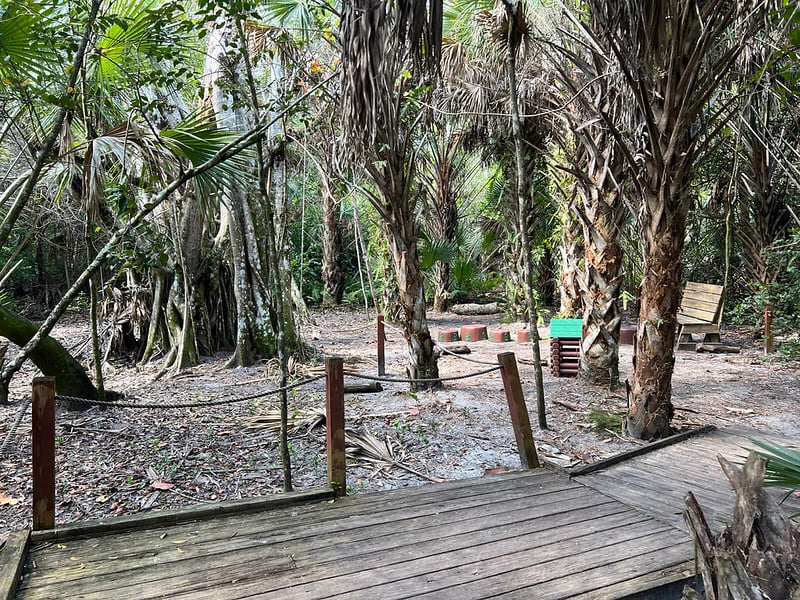 Guided Nature Walk at Secret Woods Nature Center 2