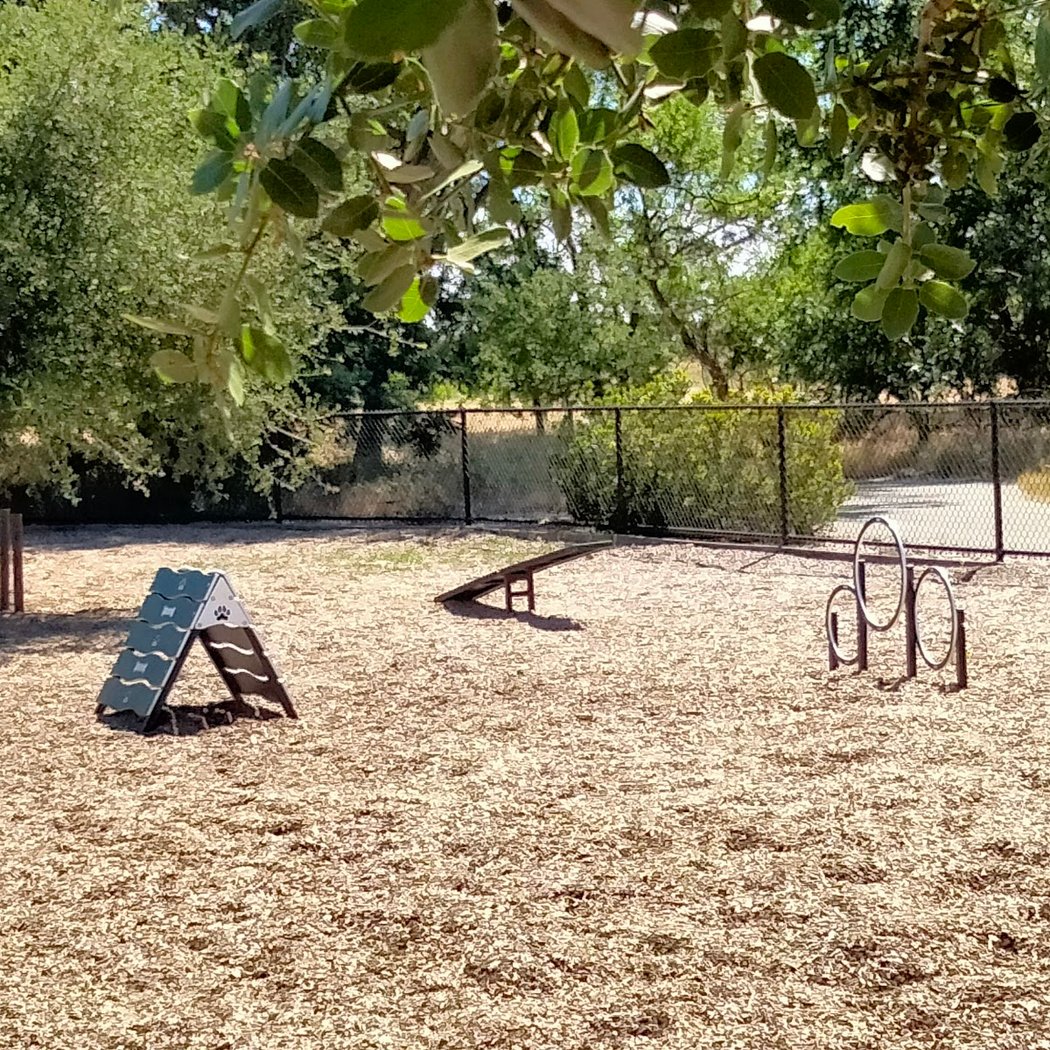 Cubby's Dog Park 3