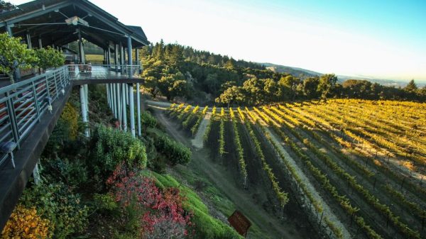 Thomas Fogarty Winery 1