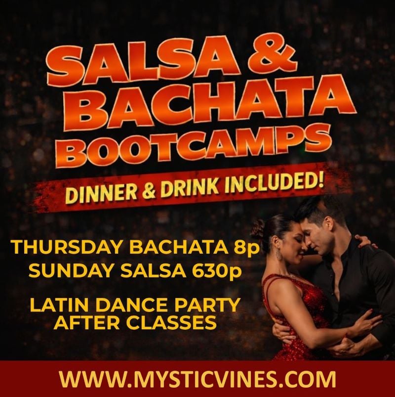 Salsa & Bachata Beginners Class 1