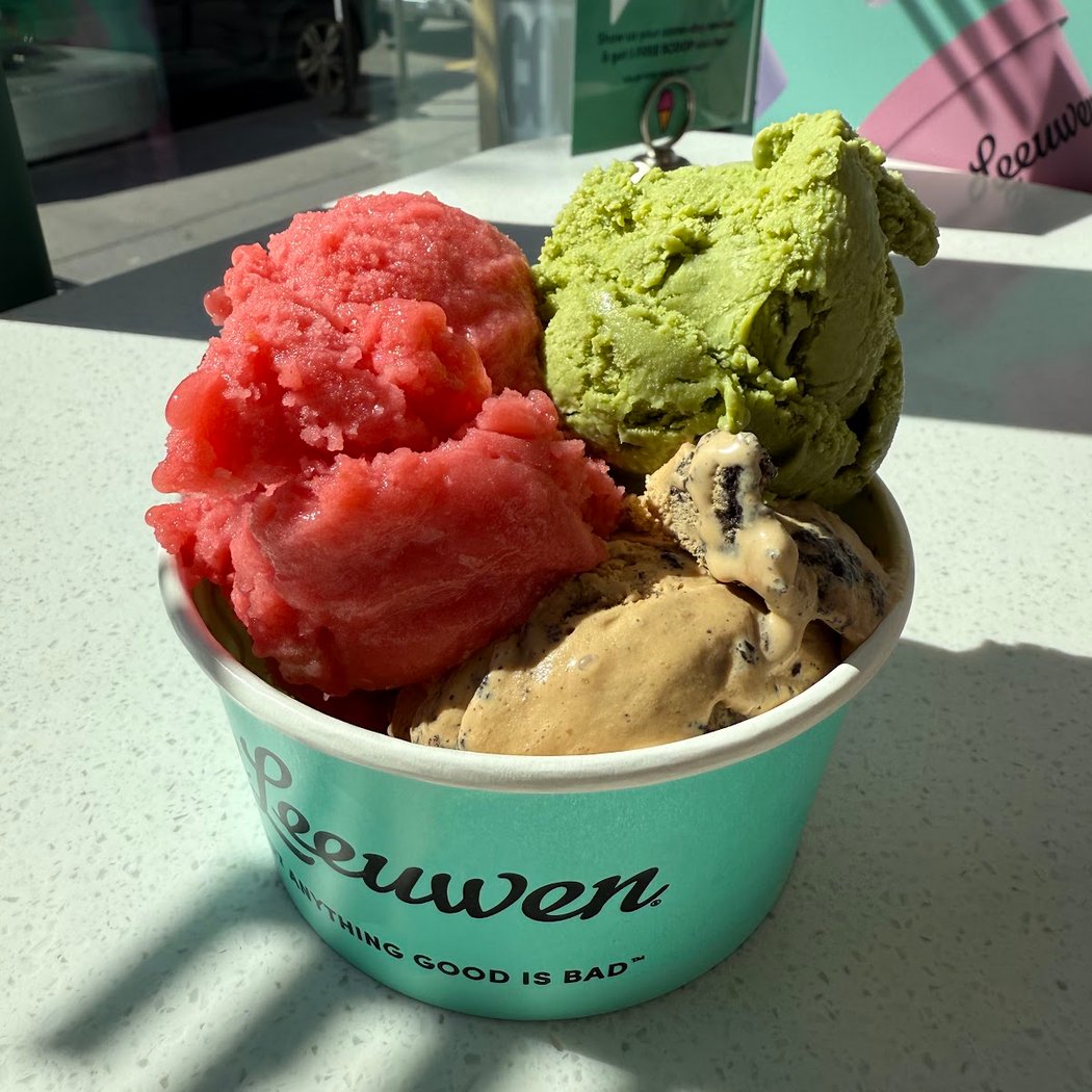 Van Leeuwen Ice Cream 1