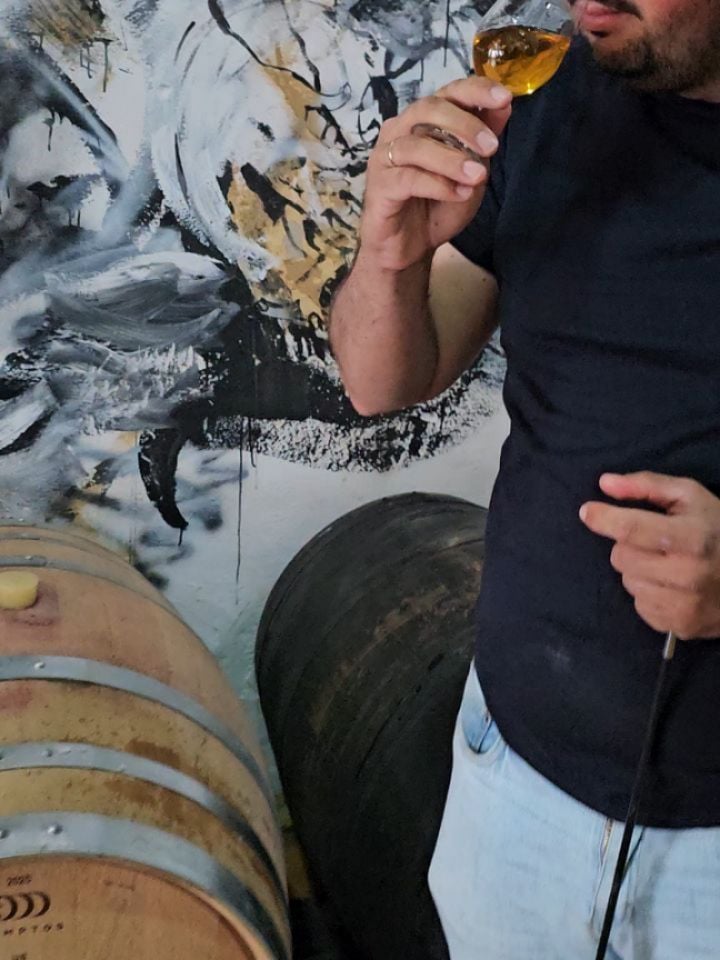 Bodegas Díaz Vinos 1