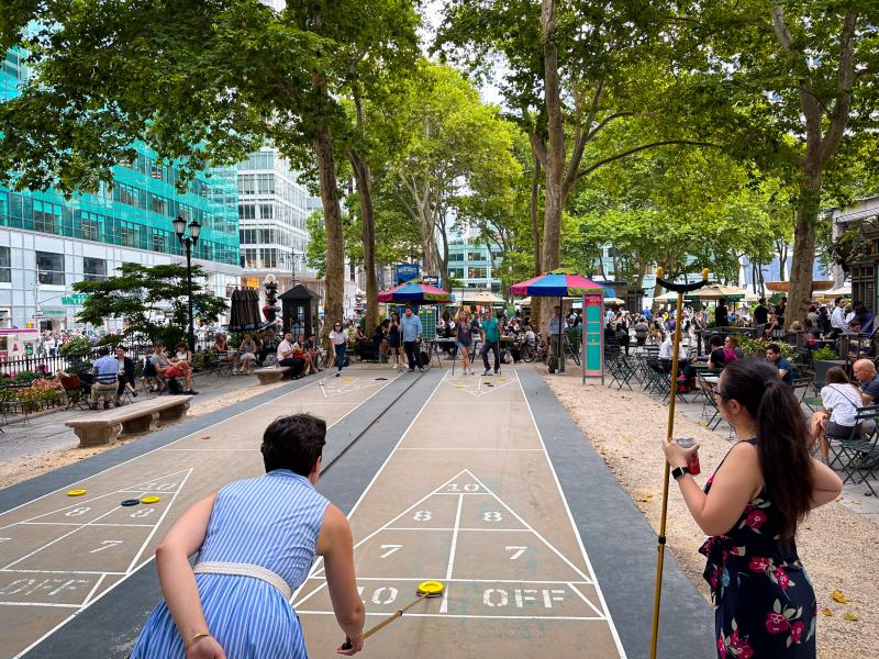 Learn to Play Shuffleboard 1