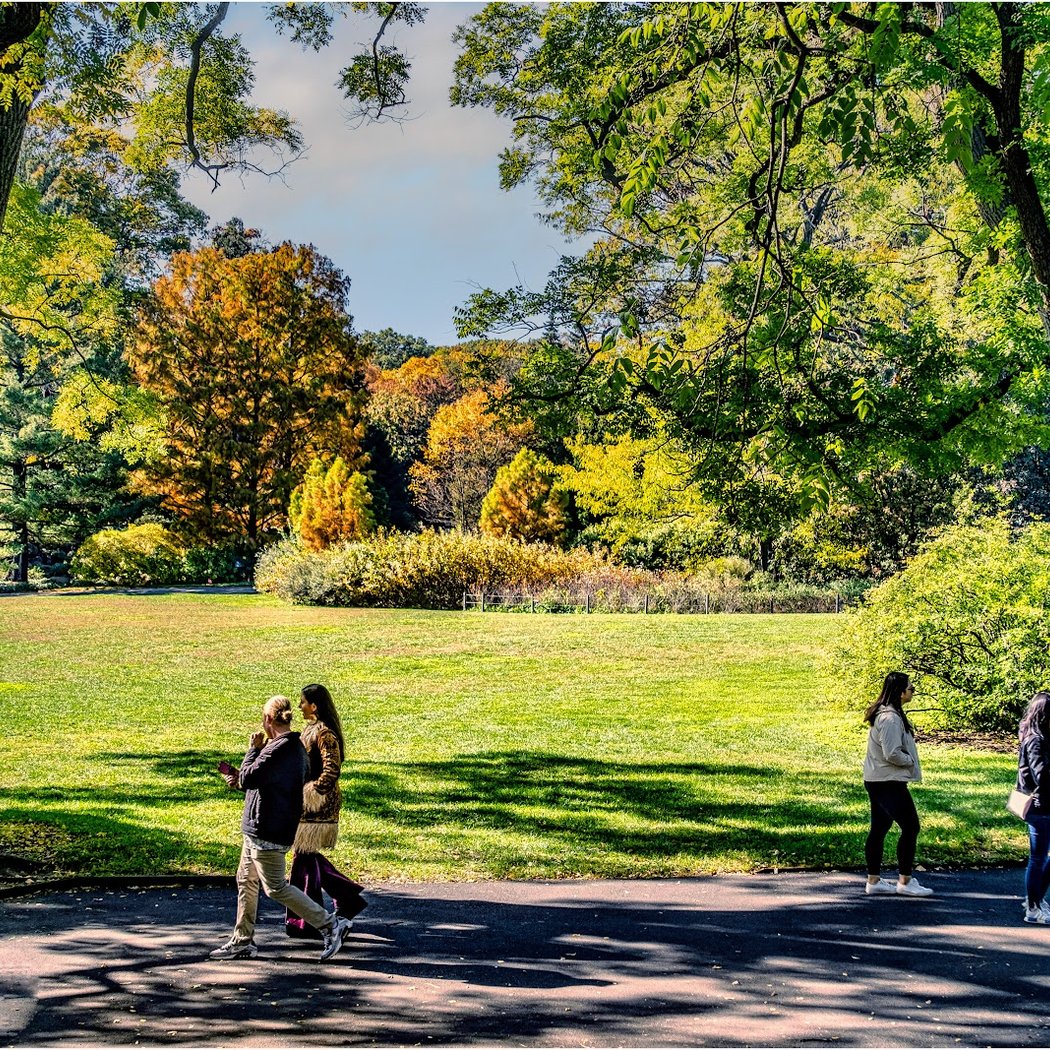Botanical Garden Bridge 2