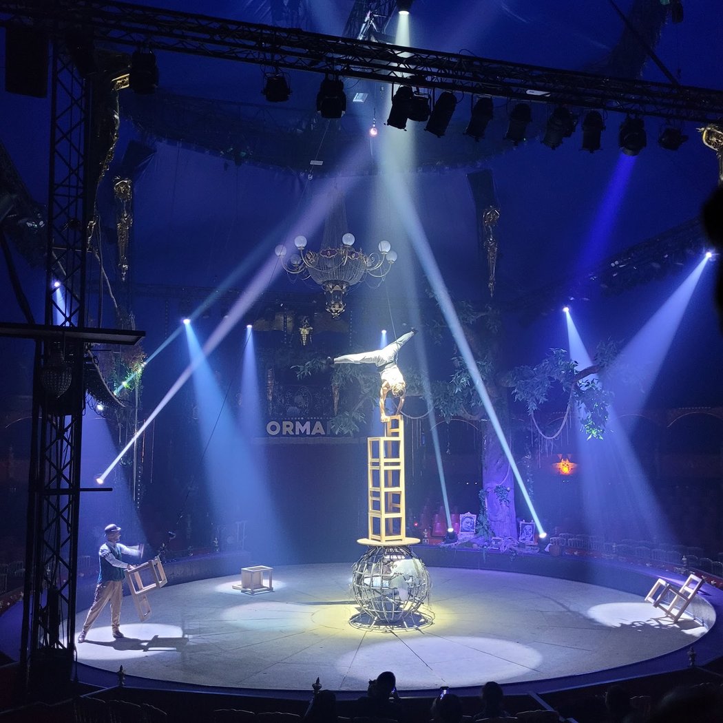 Les spectacles de cirque