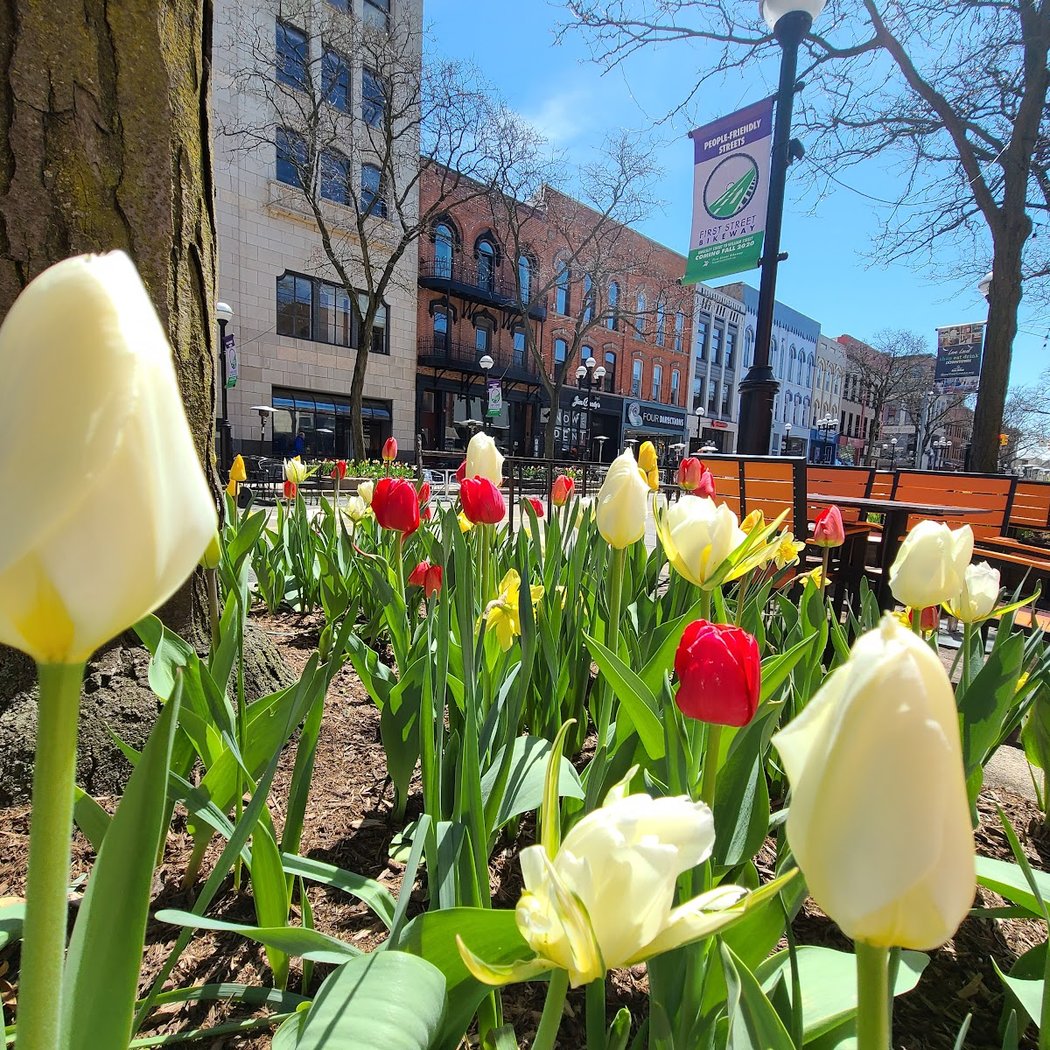 Ann Arbor 1