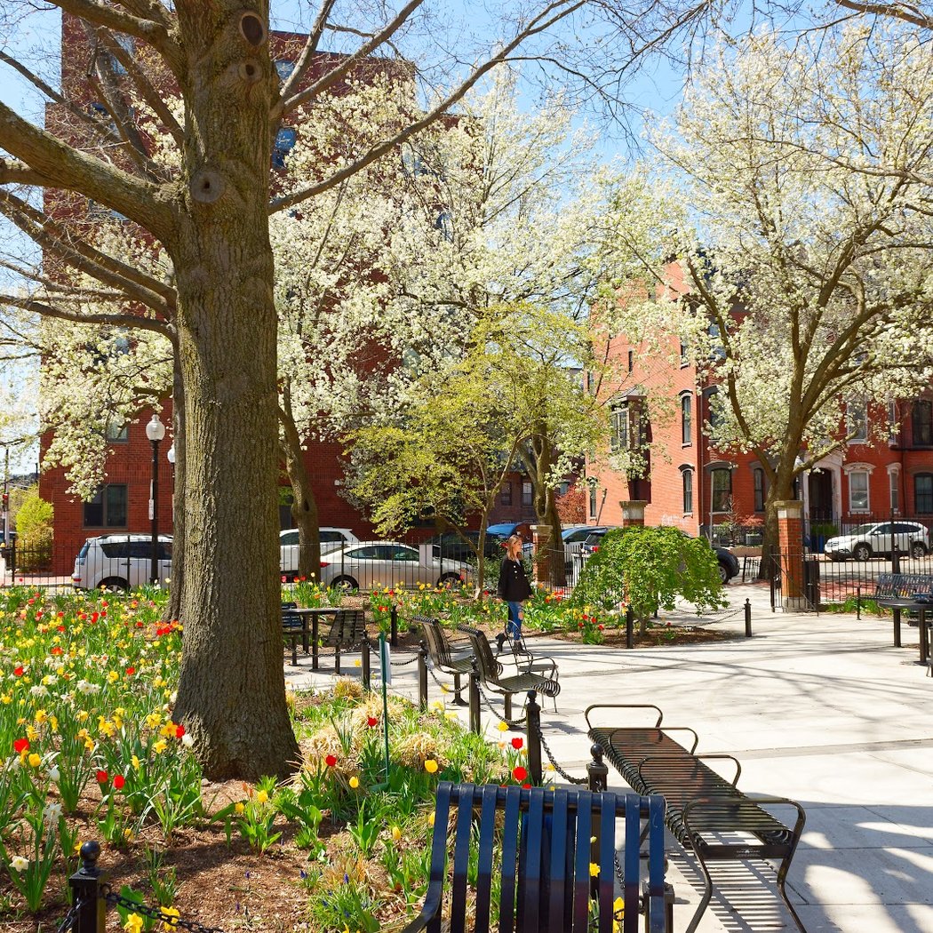 South End Library Park (BPL) 1