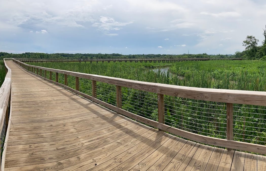 Neabsco Regional Park 2