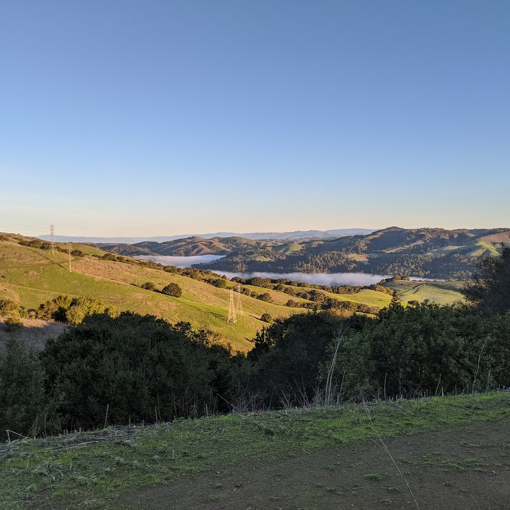 Sunrise Hike in Tilden Park 2