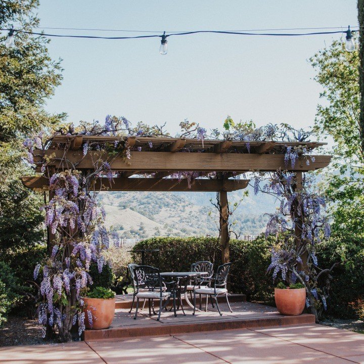 Bennett Lane Winery 1