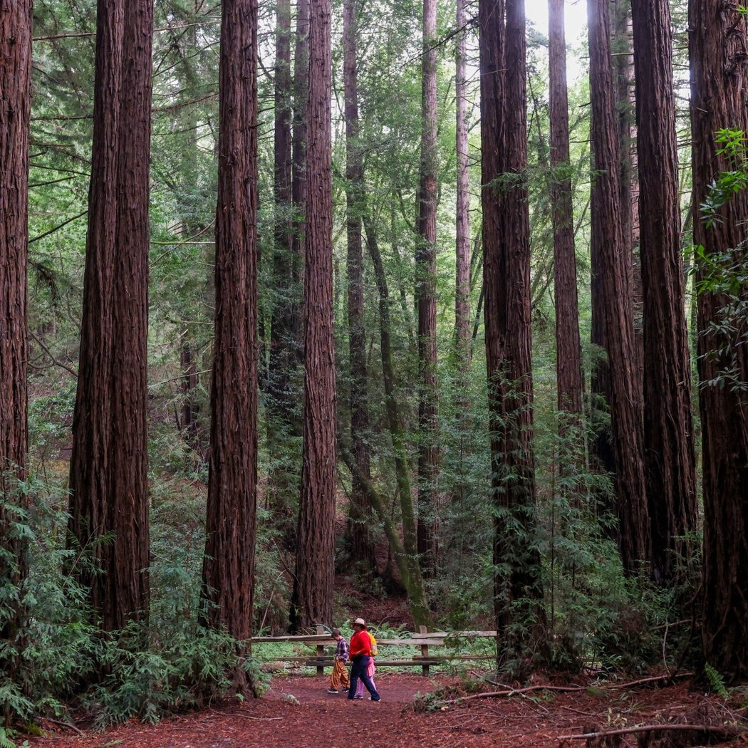 Guided Group Hike with East Bay Regional Park District 1