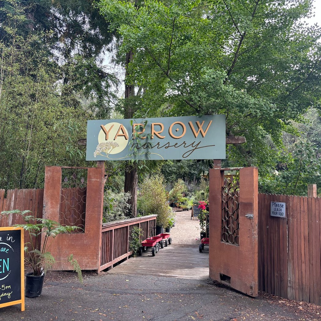 Yarrow Nursery on Thornhill Dr 2