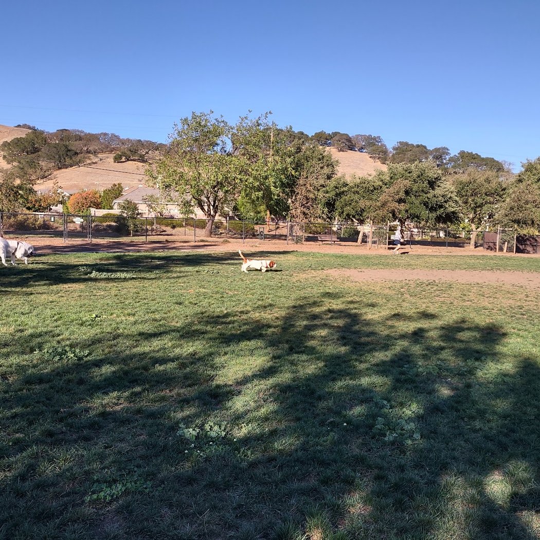 Dogbone Meadow 3