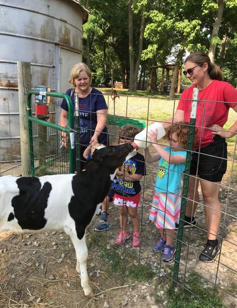 Barnyard Buddies 1