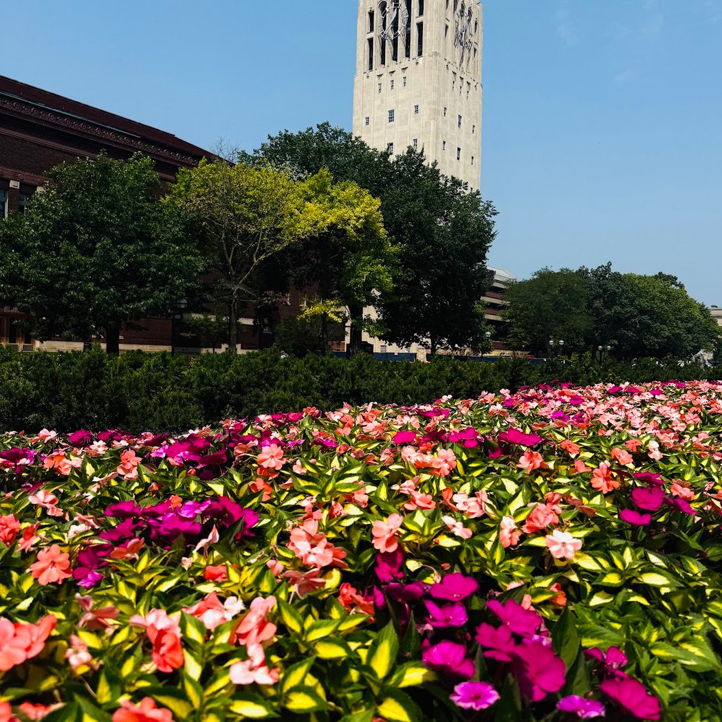 Tiffany Ng & Kathy Beck, carillon 5