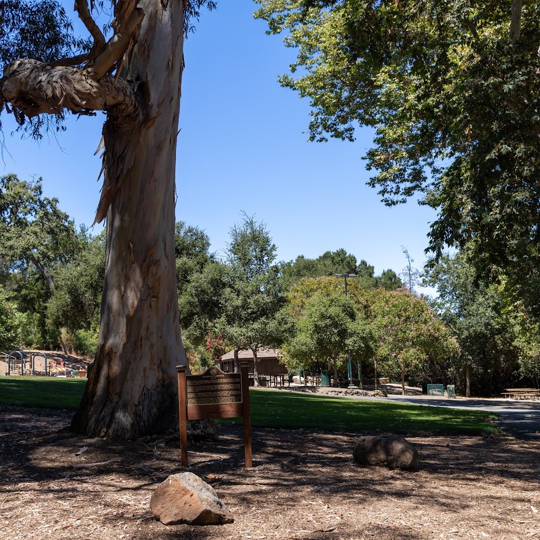 Wildwood Park 3