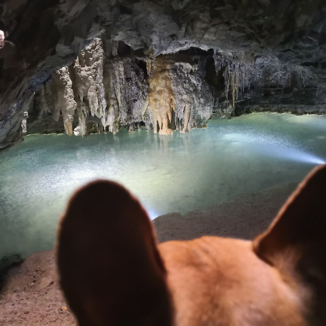 Tourisme avec mon chien 3