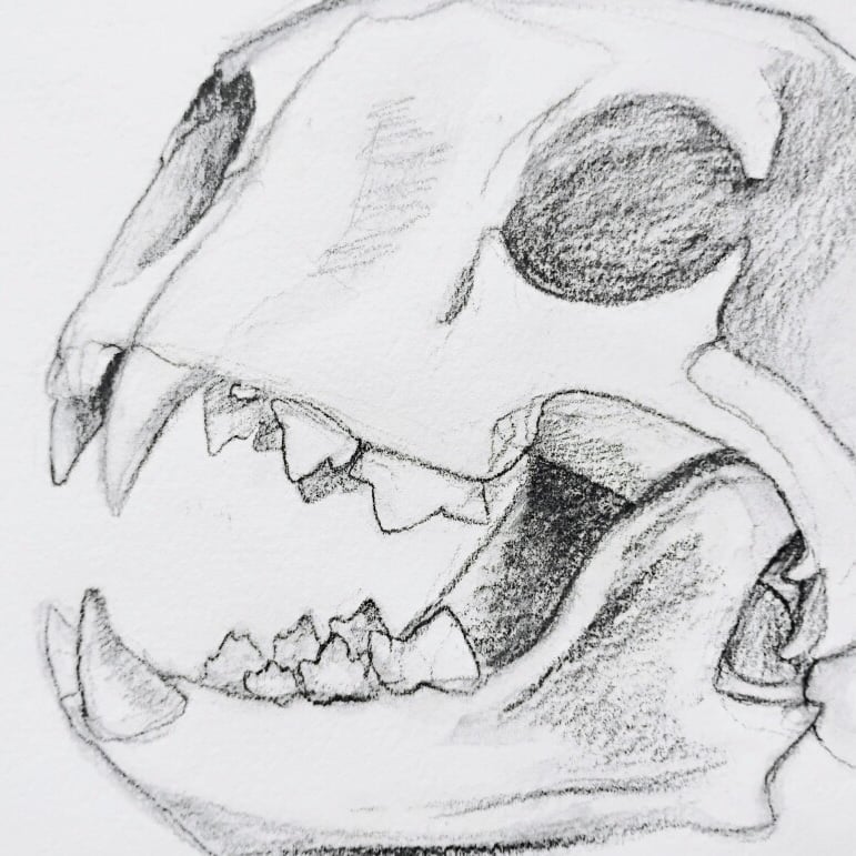 Realistic Sketching 2