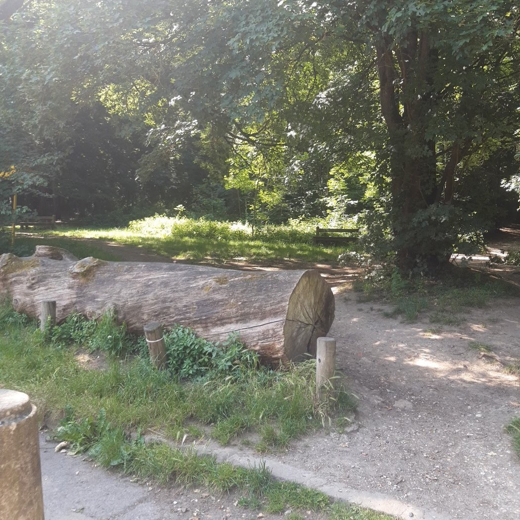 Sortie de forêt 3