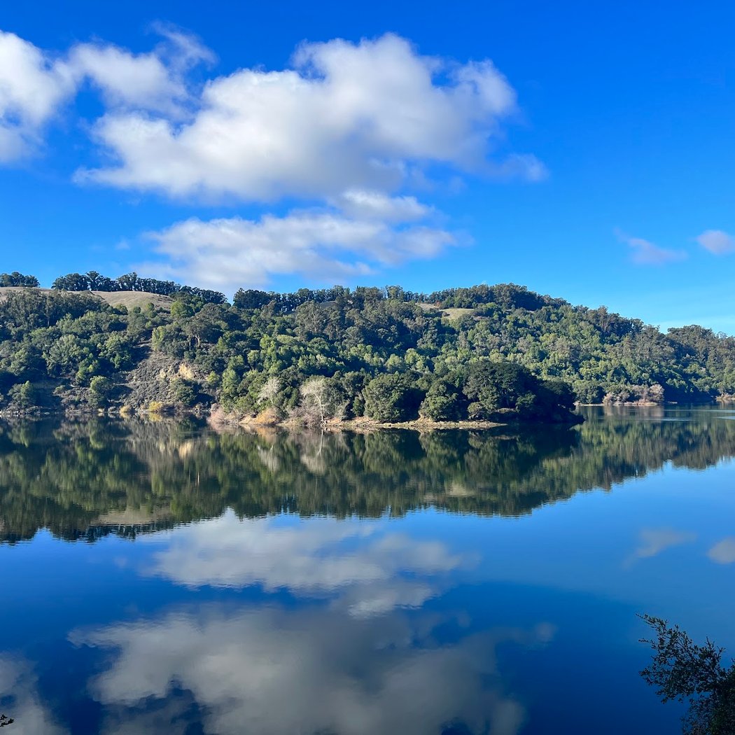 Lake Chabot Family Movie Night 3