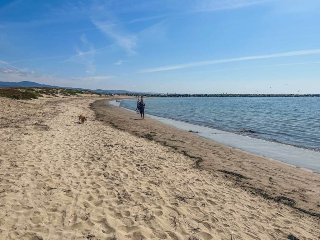 Pillar Point 2