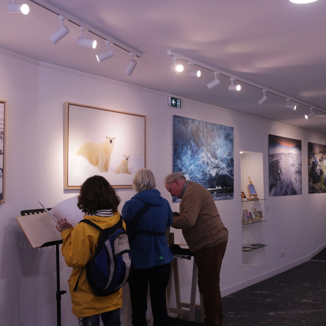 Festival de l'Oiseau et de la Nature 3