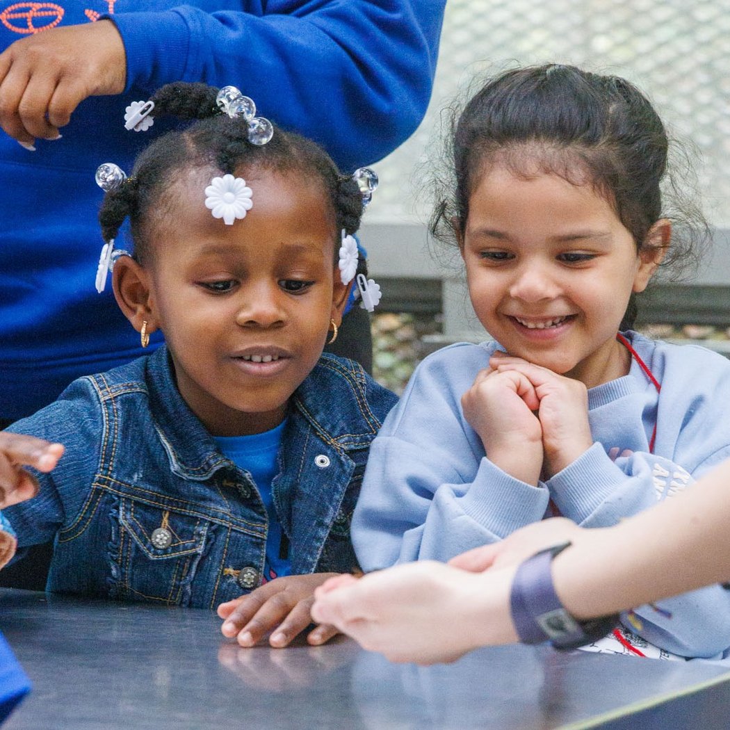 Amazing Animals / Brooklyn Voices School Visit 1