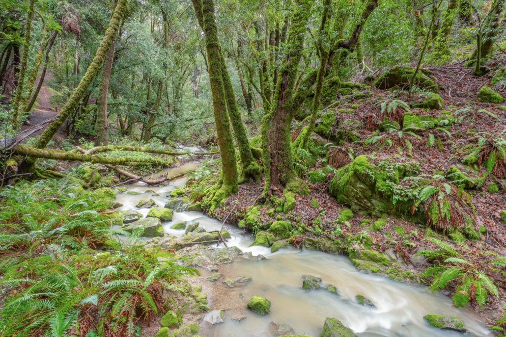 Peters Creek Trailhead 1