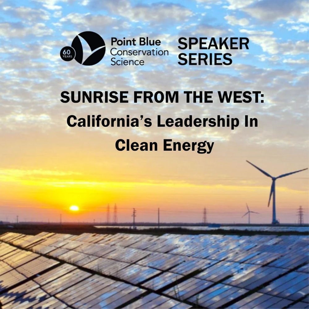 Sunrise From The West: California’s Leadership in Clean Energy 3