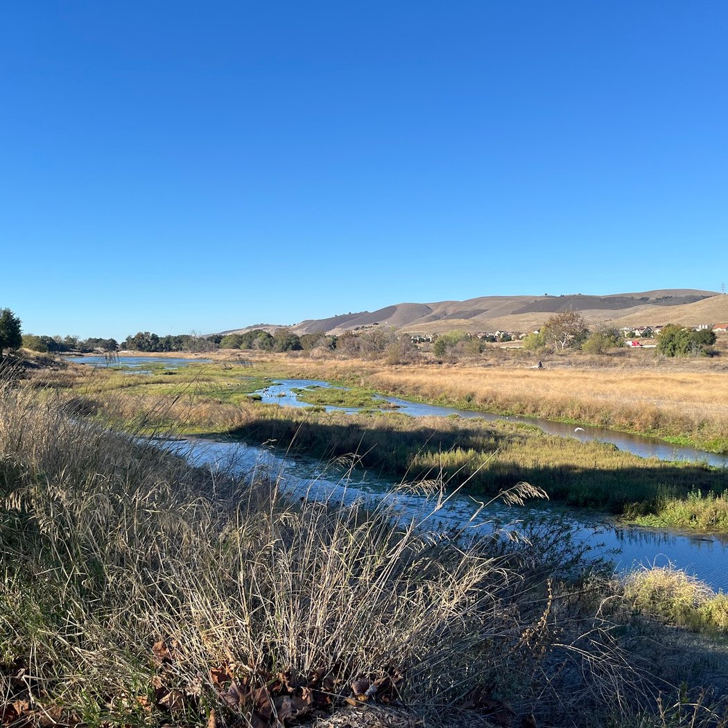 Photowalk: Metcalf Park, Coyote Creek Trail 1