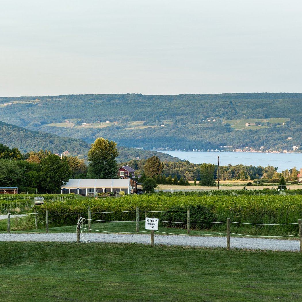 Point of the Bluff Vineyards 3
