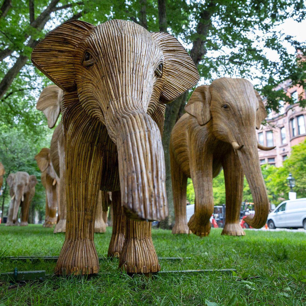 The Great Elephant Migration 3