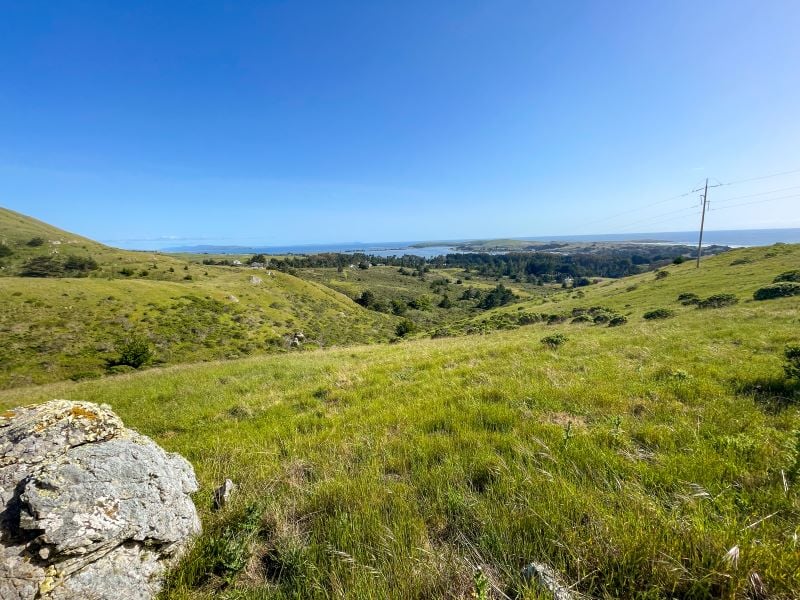 Coleman Hill 1